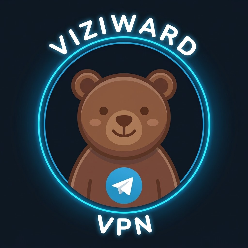 Viziward VPN